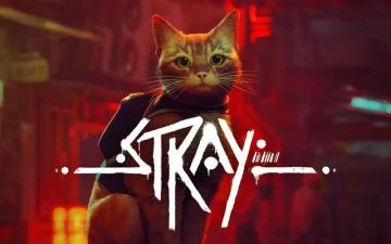 迷失 STRAY